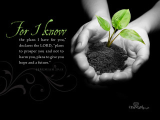 Person holding plant bible verse - below free wallpaper