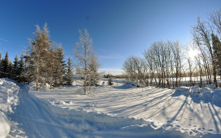 Snowy road forest lake mountain - road free wallpaper