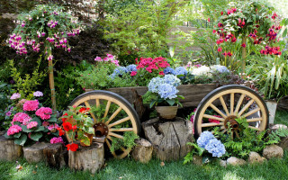 Wagon flowers trees garden fence - a wagon free wallpaper