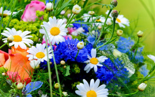 Flower bouquet blue white orange - free flowers wallpaper