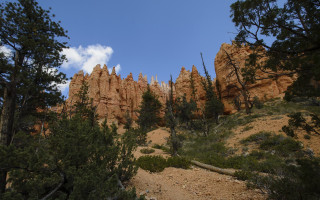 Rocky mountain trees lake sky - a rocky mountain free wallpaper