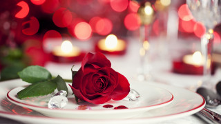 Romantic rose bouquet wine candle - a single rose free wallpaper