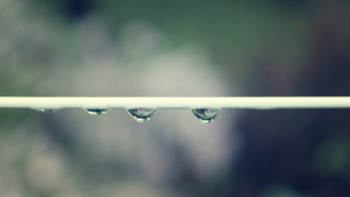 Water drops white pole macro - a close up free wallpaper
