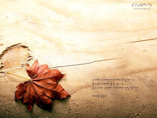 Leaf wood writing pen middle - a piece of wood free wallpaper