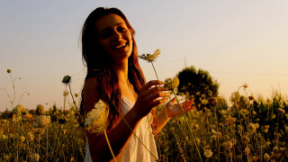 Woman field flower smile sunset - a sun in the background free wallpaper for desktop