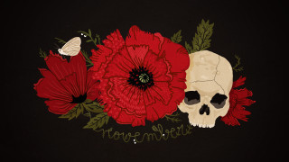 Skull flower butterfly roses gothic - art noveau free wallpaper for desktop