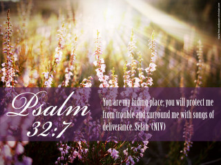 Living place protect me flower - a picture of a field free wallpaper