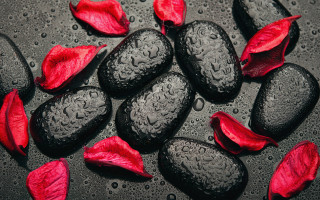 Black rocks red petals water - red petal free wallpaper