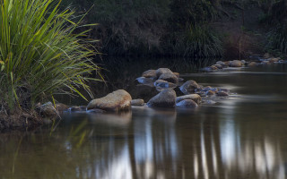 River rocks grass reflection clouds - the water surface free wallpaper