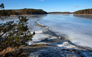 Frozen lake trees sky clouds - akseli gallenkallela free wallpaper