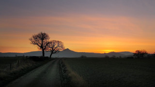 Dirt road tree sunset mountains 2 - the distance behind free wallpaper