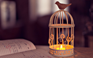 Bird cage candle table book - inside free wallpaper for desktop