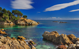 Rocky shore blue water trees - clear free wallpaper for desktop