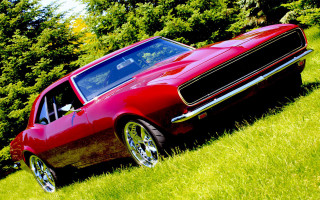 Red car grassy field dog - a grassy field next free wallpaper