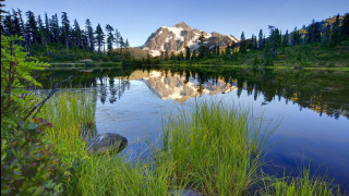 Mountain lake reflection trees grass 2 - a rock in the foreground free wallpaper for desktop