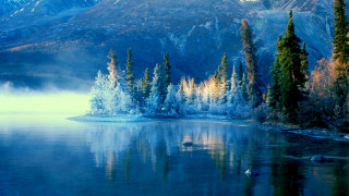 Lake mountains trees mist sky - tree and mountains free wallpaper for desktop