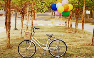 Bicycle balloons park basket outdoors - a bicycle free wallpaper