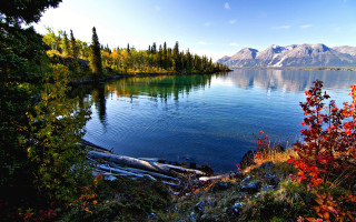Lake mountains trees autumn sky 2 - tree and mountains free wallpaper for desktop