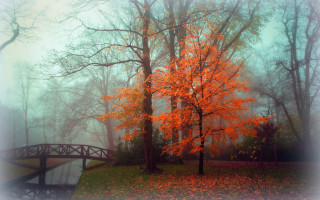 Bridge pond park autumn fog - autumn free wallpaper for desktop