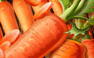 Carrots green beans tabletop folk - arcimboldo free wallpaper