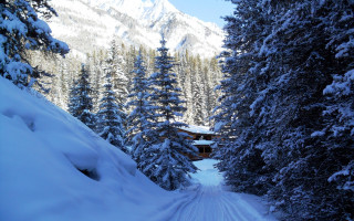 Snowy cabin road trees mountain - eric deschamps free wallpaper