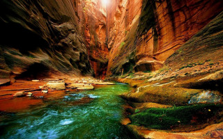 Narrow river green water canyon - green water free wallpaper