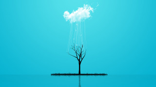Lone tree water cloud blue - a cloud in the sky above free wallpaper