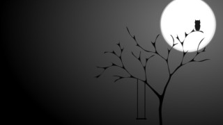 Black white tree cat full - david firth free wallpaper for desktop