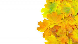 Autumn leaves fire sunset silhouette - text free wallpaper