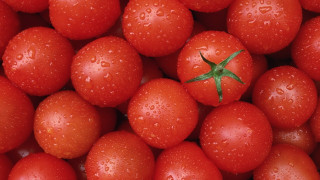 Tomatoes water droplets closeup macro - close free wallpaper