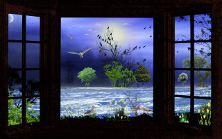 Moonlit lake view birds night - a full moon free wallpaper for desktop