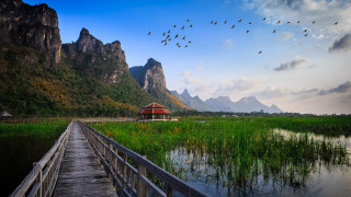 Wooden bridge red building birds - a red building free wallpaper