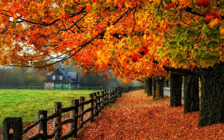Fence leaves autumn houses forest - a fence free wallpaper