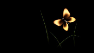 Blue butterfly yellow flowers artist - a light reflection free wallpaper for desktop