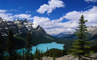 Lake mountains trees cloudy sky 28 - bob ross free wallpaper