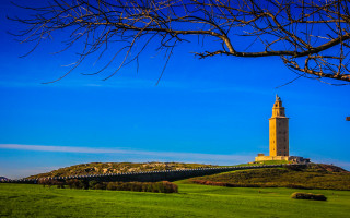 Clock tower hill tree fence - a large clock tower free wallpaper