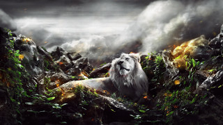 Lion rocky smoke fire mountain - a rocky area free wallpaper for desktop