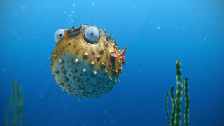 Pufferfish ocean algae aurora night - ultra realistic digital art free wallpaper