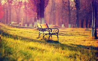 Park bench autumn sunset orange - autumn free wallpaper
