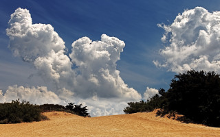 Dirt road trees clouds blue - white cloud above free wallpaper