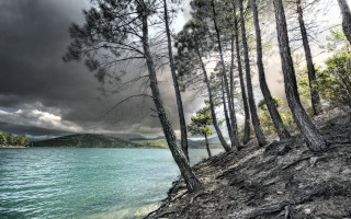 Lake shore trees mountain cloudy - the shore free wallpaper