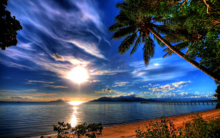 Sunset beach palm trees pier - free beach wallpaper