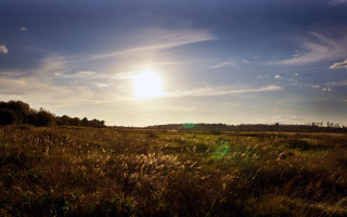 Grass trees sky sun clouds - the cloud and the sun free wallpaper