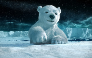 Polar bear snowy icebergs night - iceberg free wallpaper