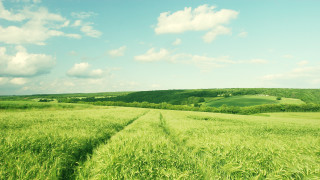 Green field cloudy sky trail - landscape free wallpaper for desktop