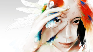 Woman bird angel wings feathers - anna dittmann free wallpaper