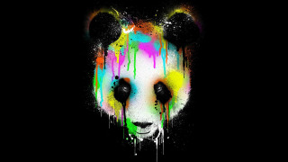 Panda colorful paint drips graffiti - face and head free wallpaper