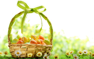 Basket fruit grass daisies bow - a basket of fruit free wallpaper