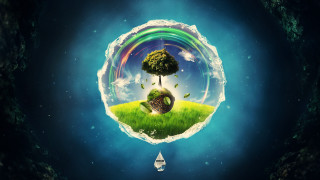 Tree rainbow boat night sky - floating free wallpaper