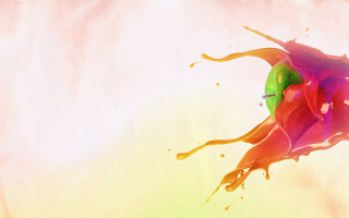 Colorful flower paint splash white - alberto seveso free wallpaper for desktop